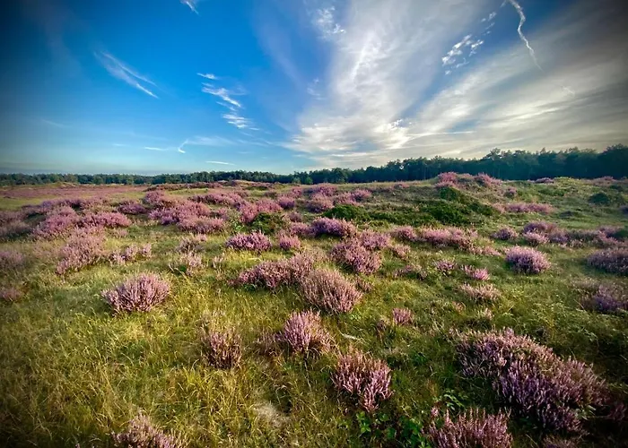 Relais & Chateaux De Struyckenbergen - Met Wellness *