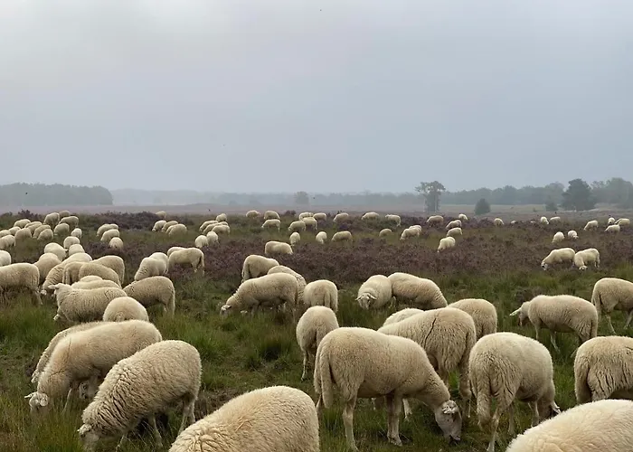 Relais & Chateaux De Struyckenbergen - Met Wellness 빌라 엘스피트